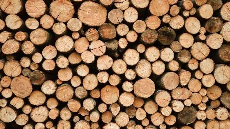 Kışa Hazırlık: En İyi Yakacak Odun Türleri